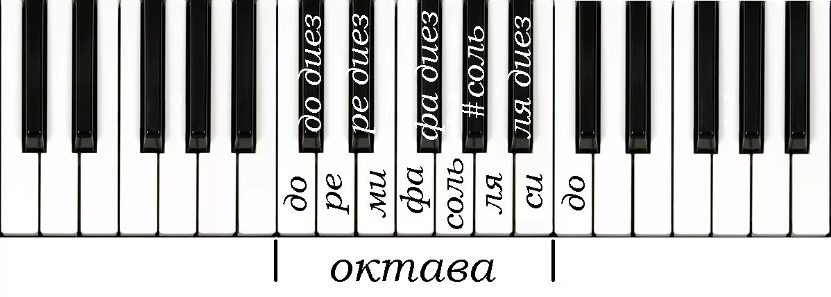 клавиатура до ре ми фа соль ля си до. пианино до ре ми фа. пианино до ре ми фа. октава фортепиано 3 октавы. октава фортепиано 2 октавы.