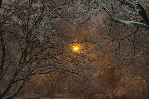 Окно снег ночь