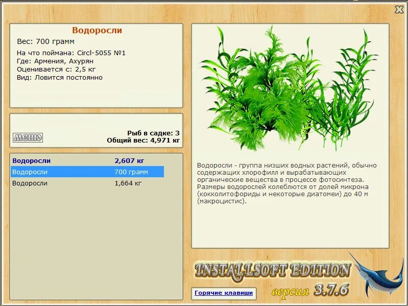 информация про планктона. бурые водоросли в аквариуме. русская рыбалка 3 7 6 деревенские просторы болотный шмурик. масса водорослей. цветение водорослей.