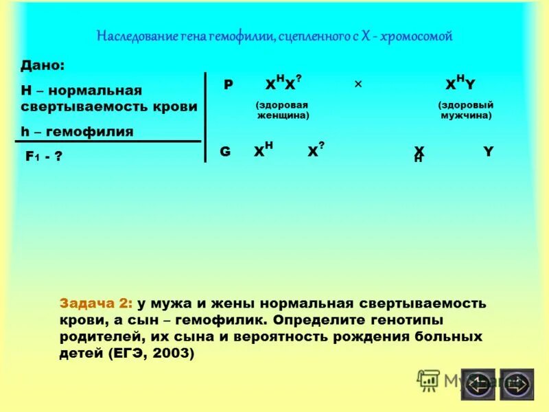 Гены детей от первого мужчины. Решение задач по генетике. Генетические задачи с хромосомами. Задачи по генетике в x хромосоме. Гемофилия гены в хромосоме.