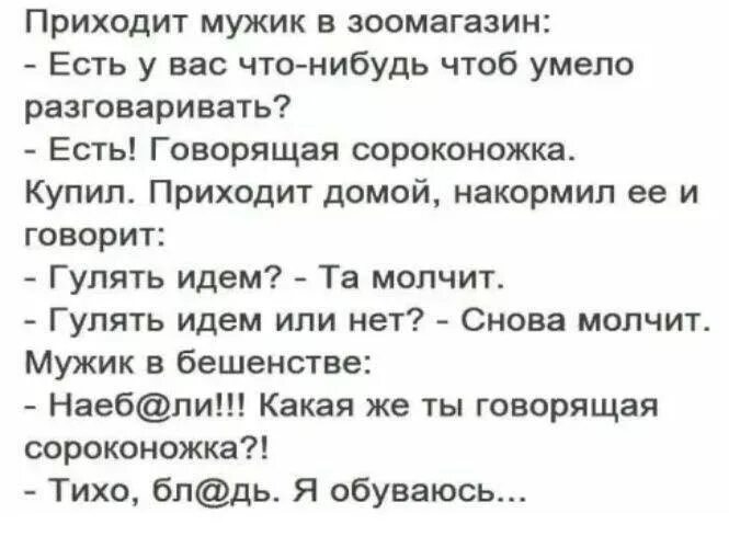 Анекдот про сороконожку. Анекдоты сороконожку. Анекдот про говорящую сороконожку. Анекдот про сороконожку. Анекдот про сороконожку.