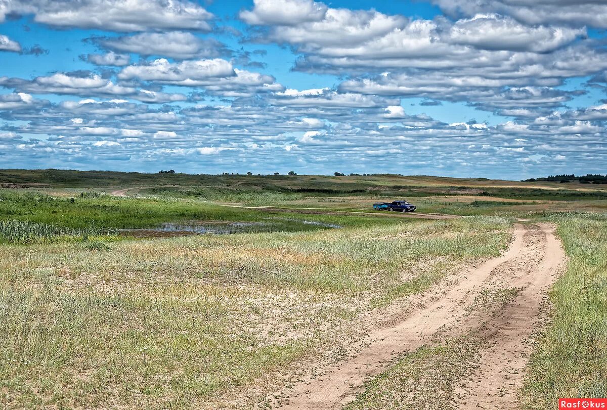 Степной кучук алтайский край