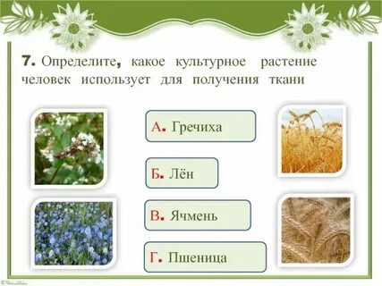 Слова связанные с травой