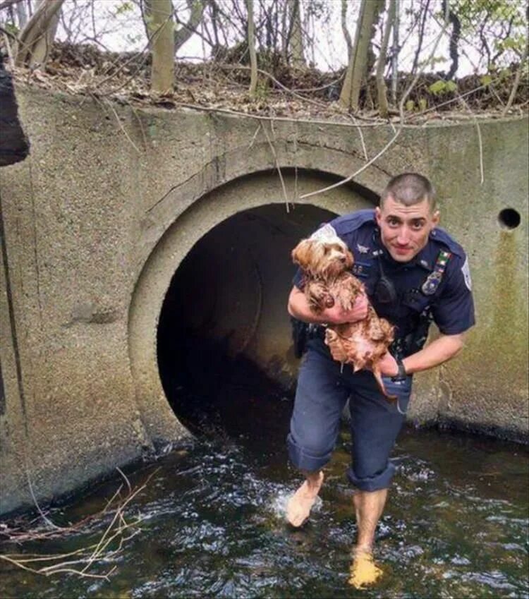 Неожиданное спасение