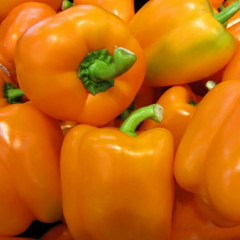 Перец сладкий желтый колокол. Сорт сладкого перца чудо. Перец сладкий снегирёк f1. Перец калифорнийское чудо. Перец сладкий калифорнийское чудо.