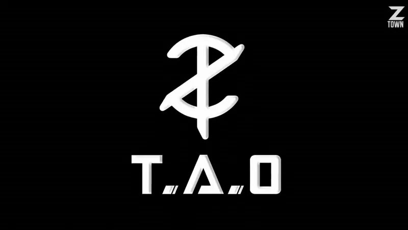 Yes this one. ZTAO знаки. Знак z. tao. Тао логотип. Эмблема Хуан Цзытао.