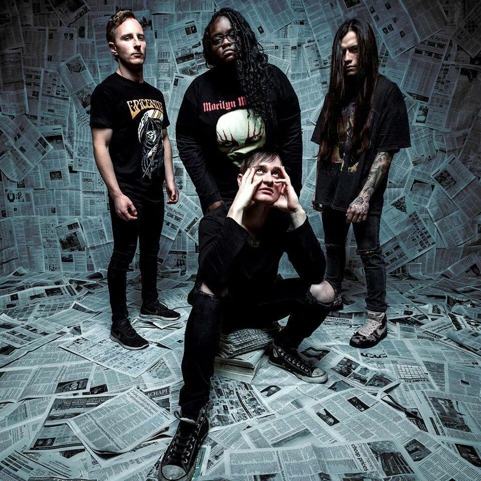 Pulse of the maggots