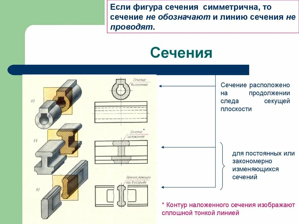 Сечение какими линиями