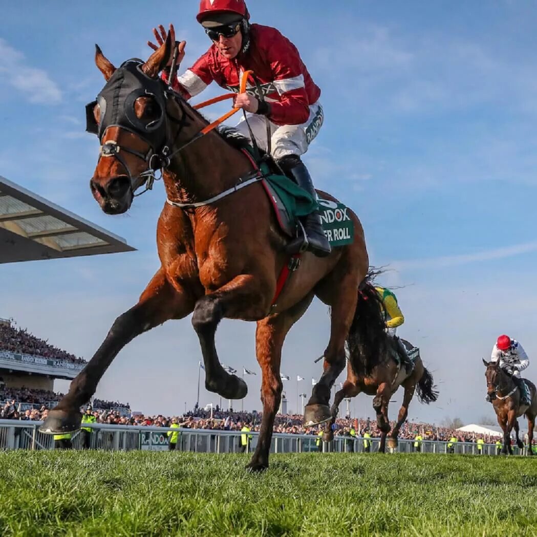 Horse racing national. Гонки на лошадях в британии. Лошадиные скачки. Horse racing national. Horse racing national.