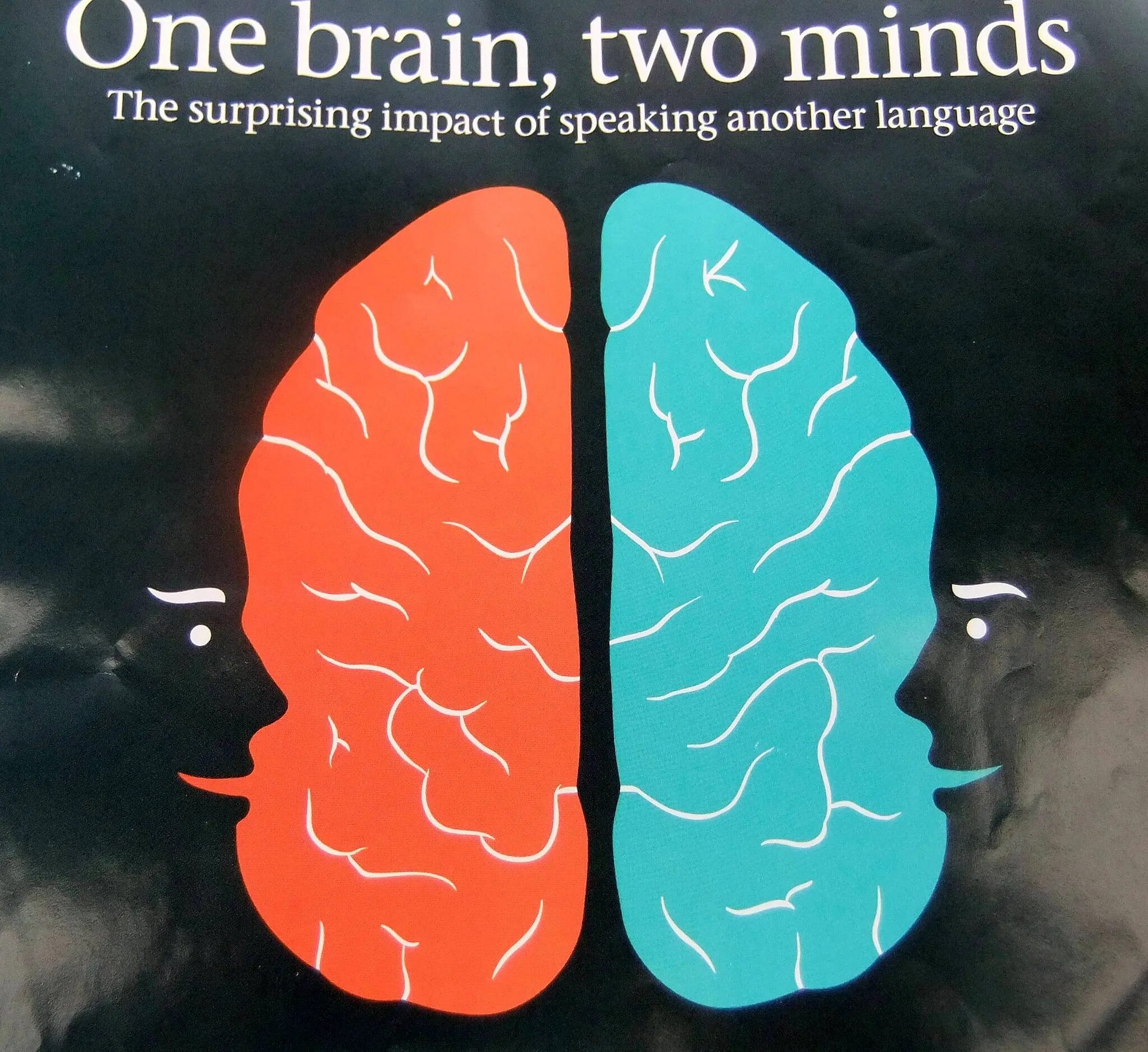 1 brain for 2. Мозг билингва. Двуязычный мозг. Being Bilingual. Bilingualism is.