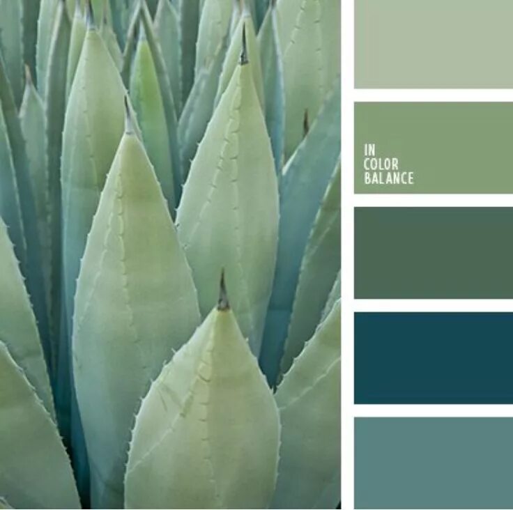 Серо зеленый синий какие цвета. Цветовая палитра пантон шалфей. agave green цвет. серо-зеленый цвет палитра. серо зеленая палитра.