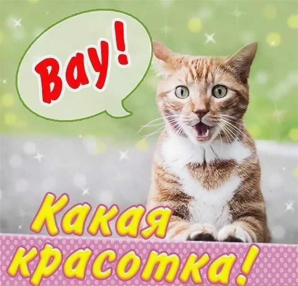 Какая красотка картинки. Ты красотка. какая красотка. обалдеть красавица. вау какая красотка.