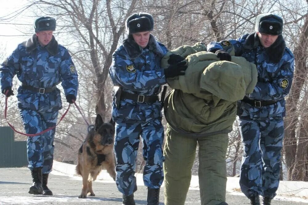 Конвоирование подозреваемых и обвиняемых. Зарплата конвоира. Зарплата конвоира. Зарплата конвоира. Форма конвоя.