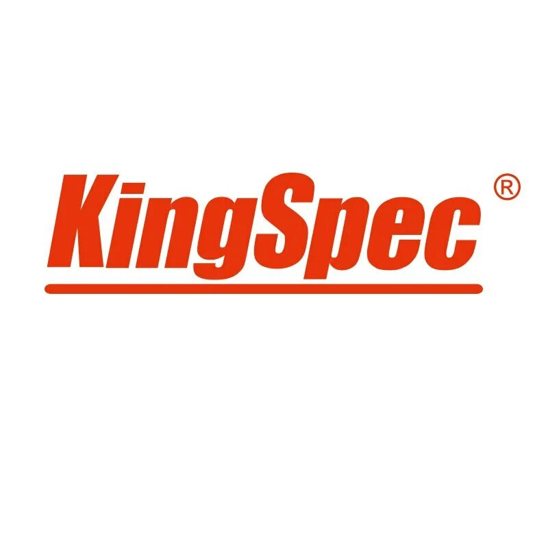 KINGSPEC logo. Кингспек