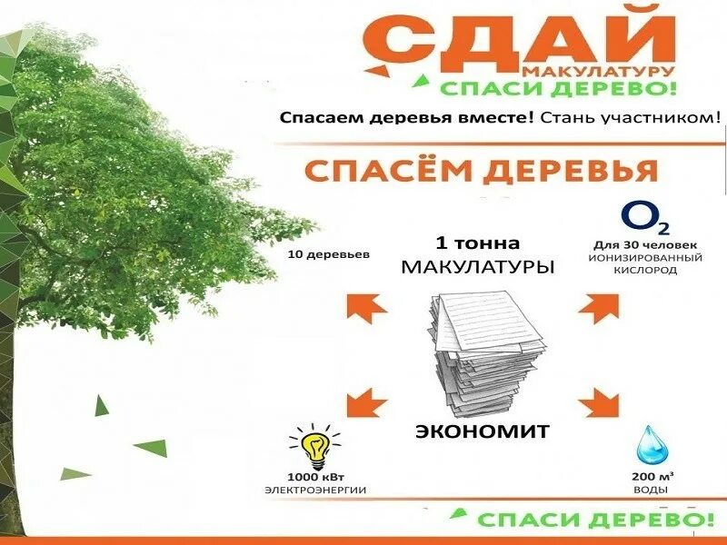 Тонна макулатуры спасает деревьев