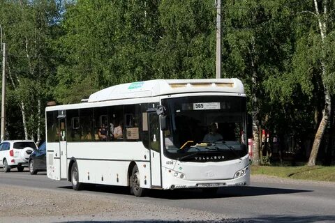 Автобус петербург кировск