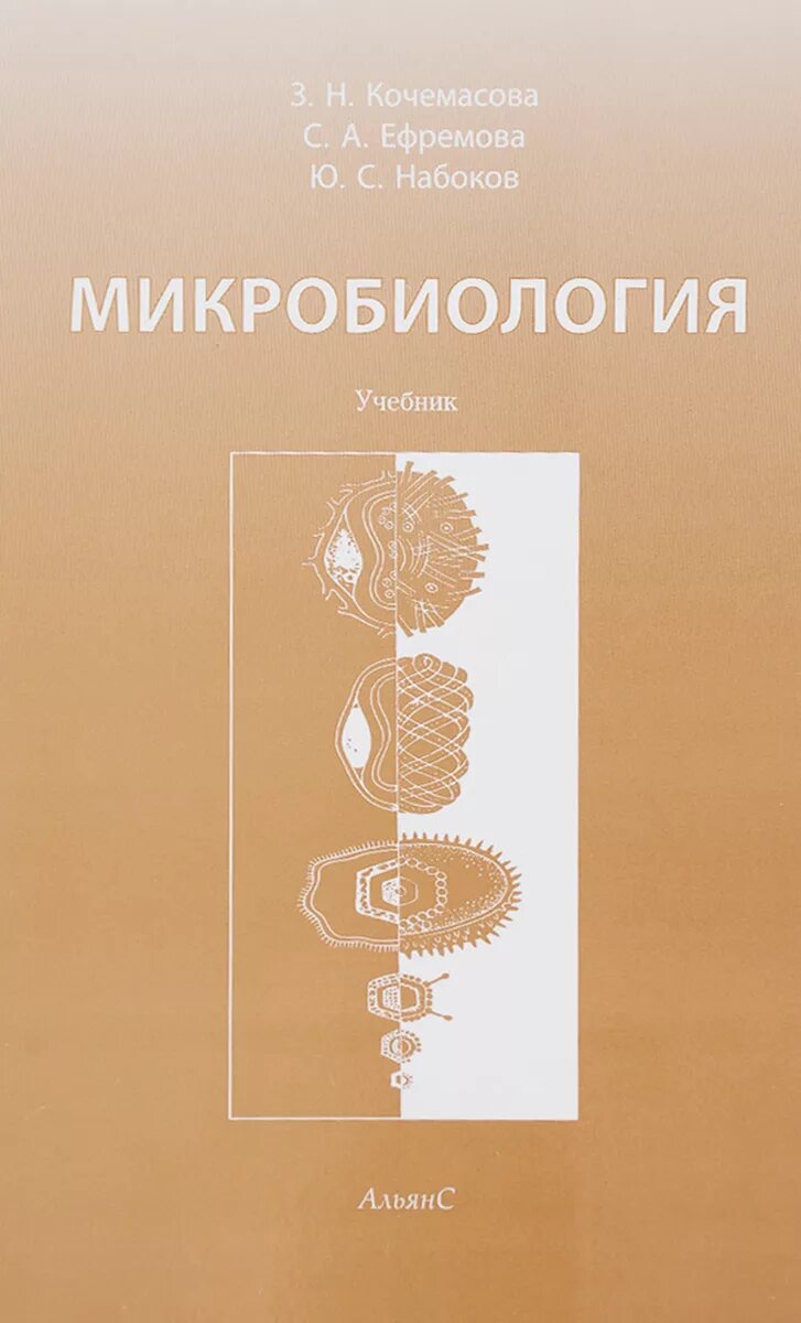 Микробиология пособие. Учебник. Микробиология. Читать учебник микробиологии. Учебник по микробиологии и вирусологии.