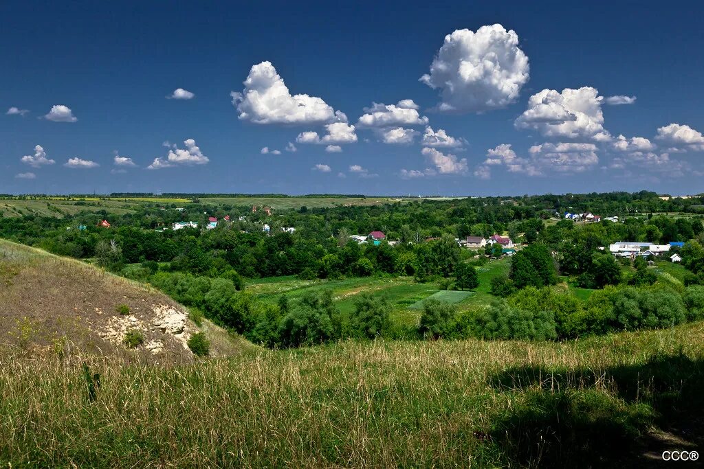 Село ч. Черепянь лебедянский район. черепянь лебедянский район липецкая область. волотово черепянь. село черепянь лебедянского района.