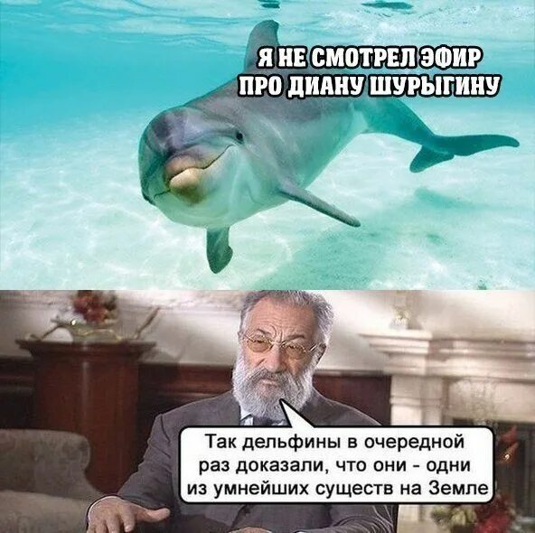 Мем про дельфинов 2025 Береги свою жепь Пикабу