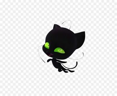 Леди баг и супер черный кот