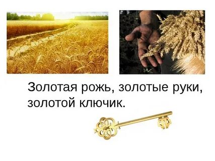 Золотой в прямом и переносном