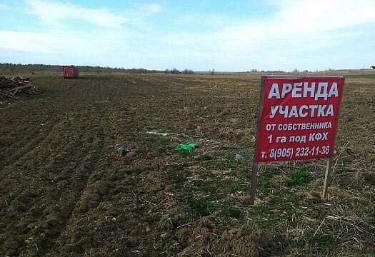 Где можно взять землю в аренду