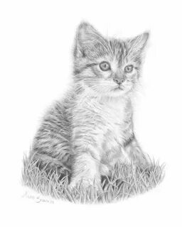 Фотографии нарисованного котенка