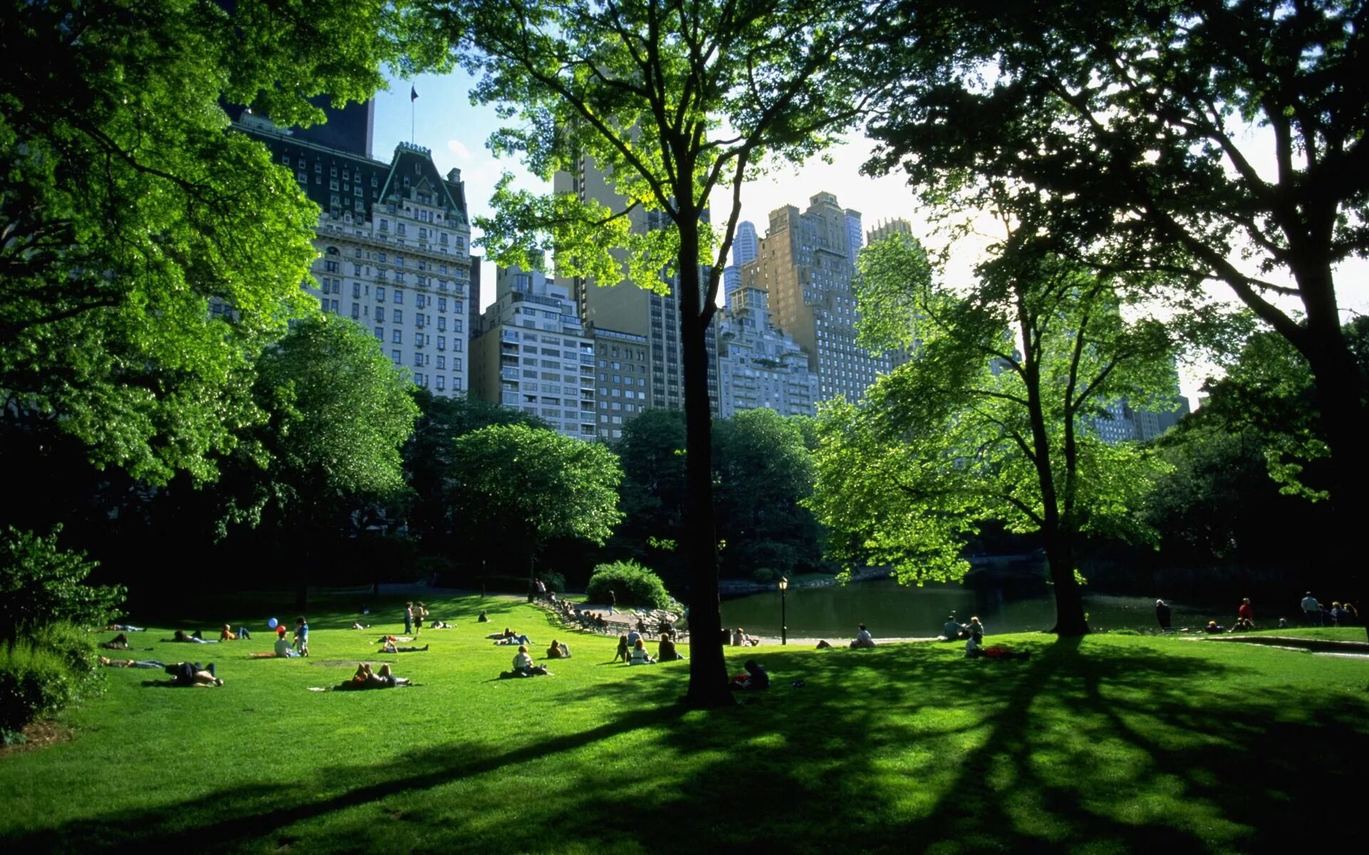 Парки в америке в городе. Центральный парк Нью-Йорк. Гайден парк Нью-Йорк. Грин парк Нью Йорк. Нью-Йорк Манхэттен Центральный парк.