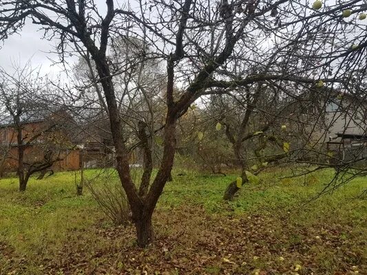 План снт труд. Полевая д. Снт покровка. Садоогород. Снт отдых госплан.