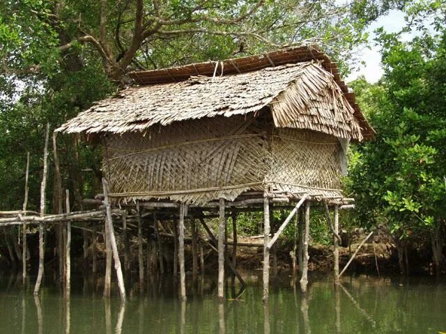 Люди живущие в экваториальном климате. Добо жилище в Индонезии. Кабанья жилище Эквадор. Традиционное жилище малайцев. Хижины в Индонезии.