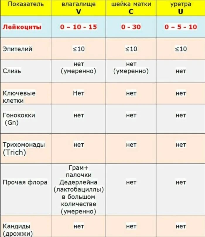 Что показывает мазок на микрофлору у женщин. Лейкоциты в гинекологическом мазке норма. лейкоциты в мазке у женщин норма. мазок гинекологический лейкоциты норма. мазок микроскопическое исследование норма лейкоцитов.