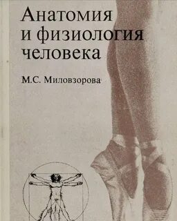 Оп 02 анатомия и физиология человека