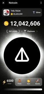 Секретный скин notcoin