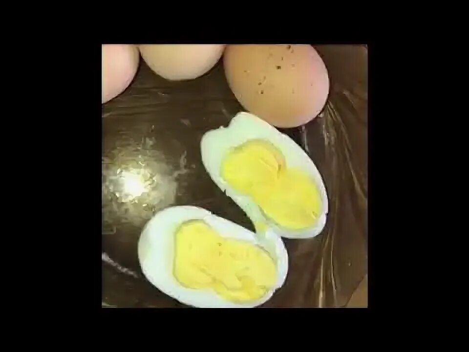 Два желтка примета. Яйцо с двумя желтками. Двойной желток в яйце. Птенец из яйца с двумя желтками. Яйцо с 2 желтками примета.