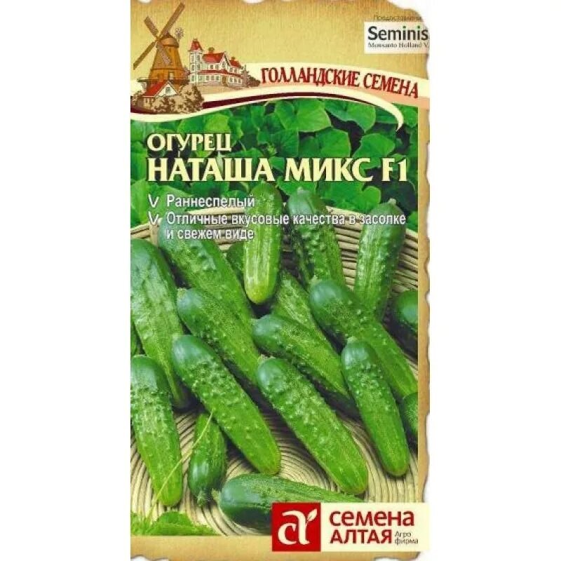 Огурцы шпингалет отзывы фото