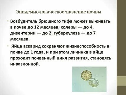 2 значение почв
