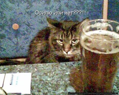 Что ответить на вопрос что пьем