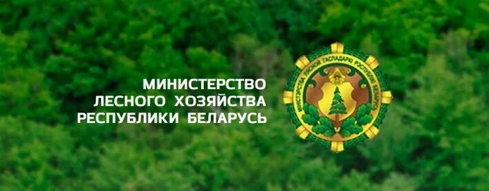Логотип лесхоза. Лесное хозяйство беларуси. Министерство лесного хозяйства рб лого. Лесные хозяйства республики беларусь. Лесные хозяйства республики беларусь.