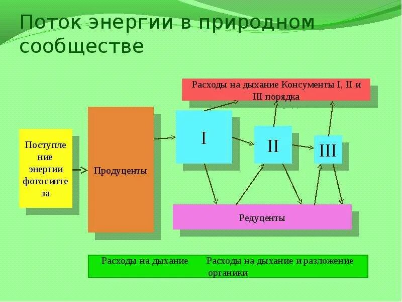 Поток энергии в экосистемах. Потоки вещества и энергии в экосистеме. Поток вещества в экосистеме. Круговорот веществ и поток энергии в экосистеме. Какое преобразование энергии осуществляется в солнечных