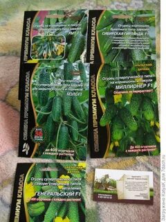 Сибирская гирлянда отзывы