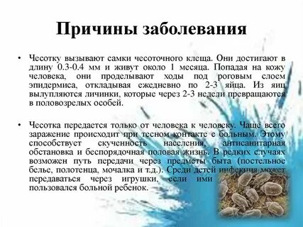 Признаки чесотки и лечение симптомы у взрослых
