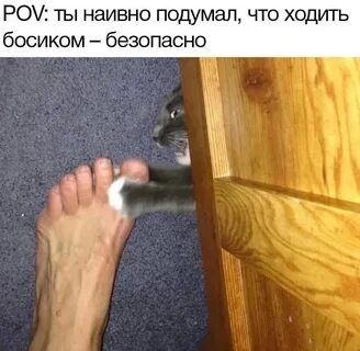 Как сломать кота