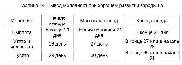 Сколько раз переворачивать яйца в инкубаторе. Таблица вывода перепелов в инкубаторе. Таблица выведения перепелов в инкубаторе. Таблица вывода перепелиных яиц в инкубаторе. Таблица вывода перепелов в инкубаторе в домашних условиях.