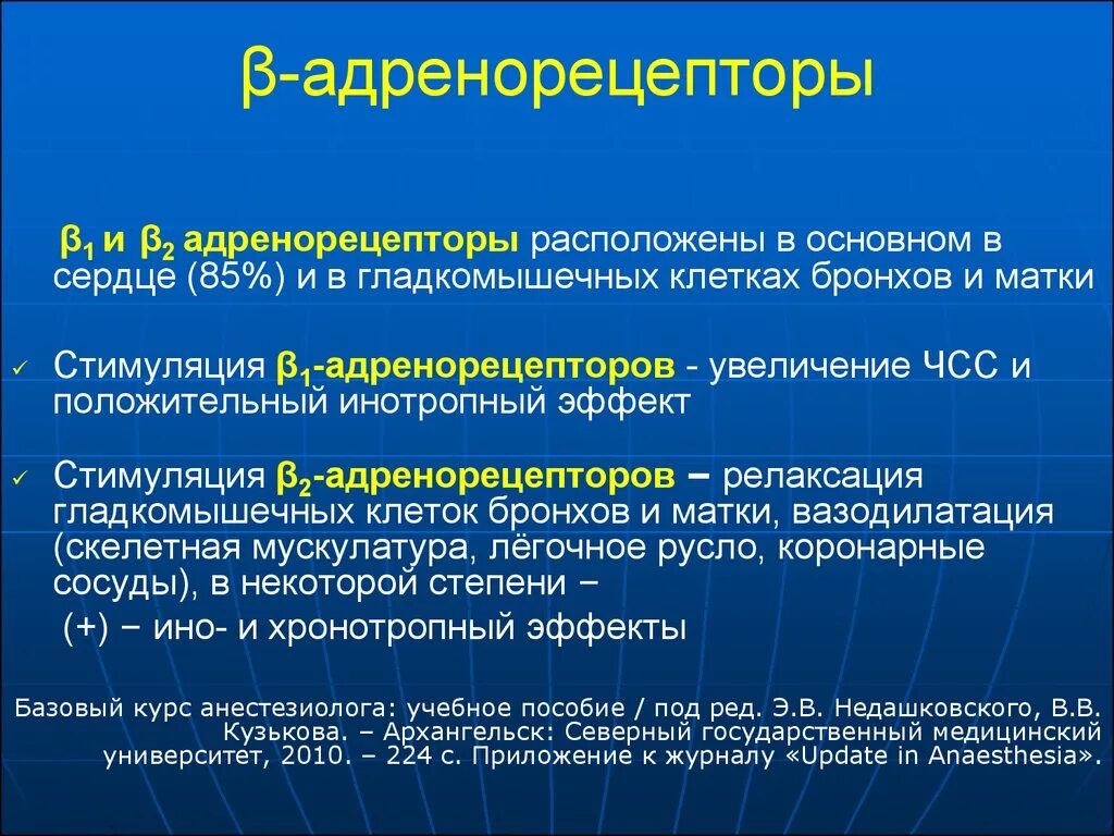 Альфа и бета адренорецепторы. Расположение бета 2 адренорецепторов. Локализация а2 адренорецепторов. Локализация бета 2 адренорецепторов. Β1адренорецепторы сердце.