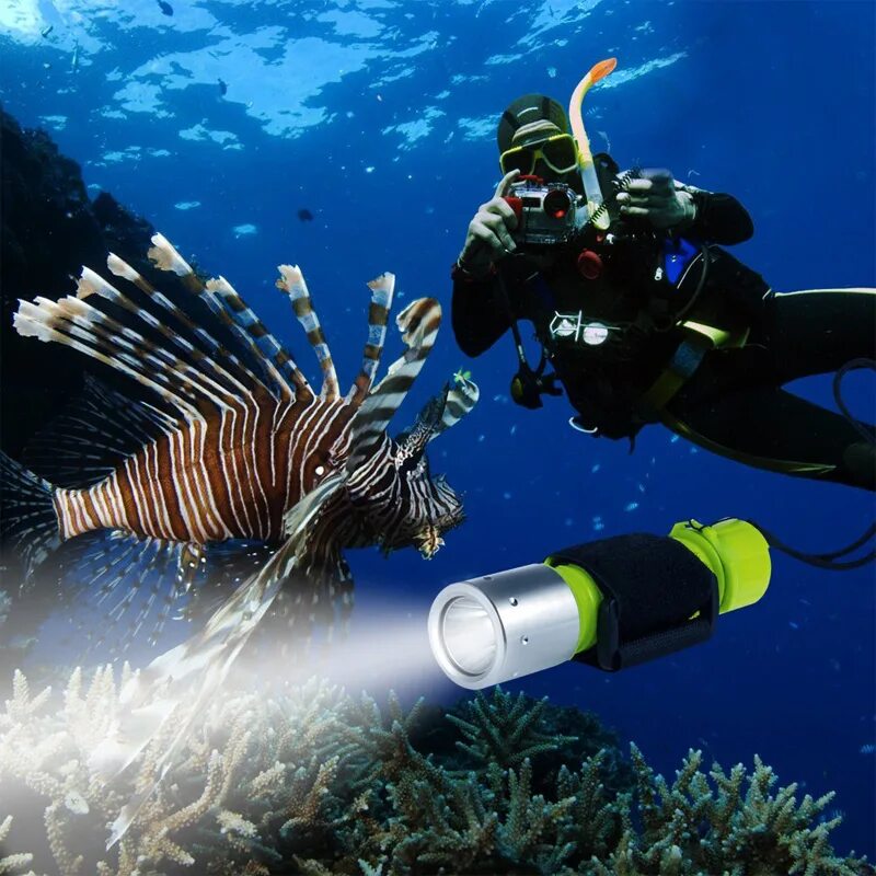 Нырять с аквалангом. Дайвинг в бассейне. Комплект для скуба дайвинга. Современный акваланг. Ночное погружение дайвинг.