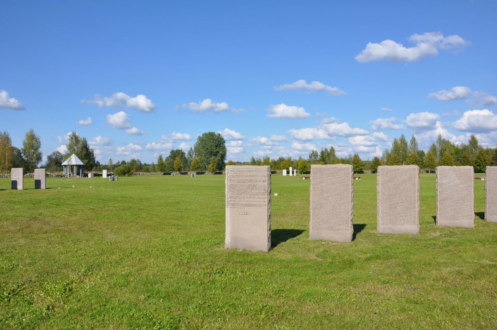 Кладбище вяжищи. Ясная поляна новгородская область мемориал. Корпово немецкое кладбище. Кладбище новгородская область. Деревня пустая вишерка.