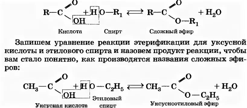 Предельные одноосновные карбоновые кислоты сложные эфиры