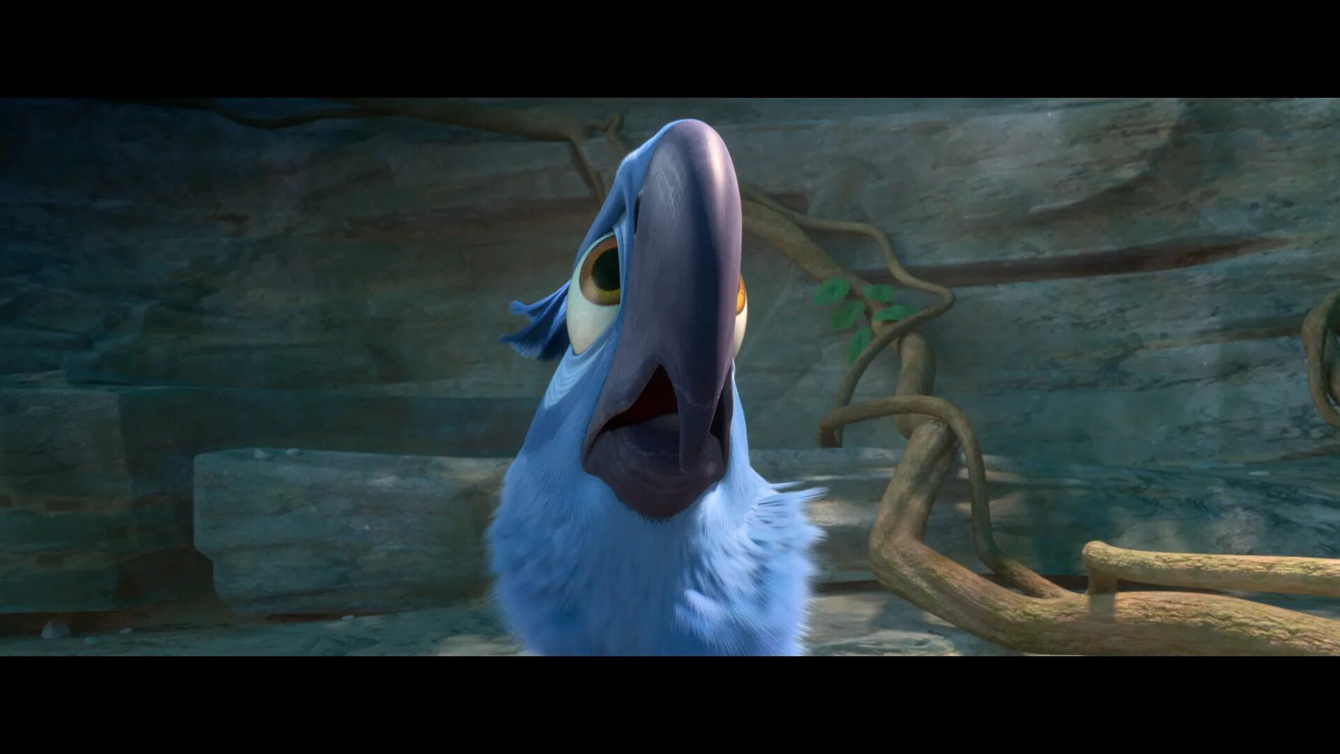 Рио 2 [Rio 2]. Рио 2 [Rio 2] (2014). Рио2 Альберто. Рио 2 СТС.