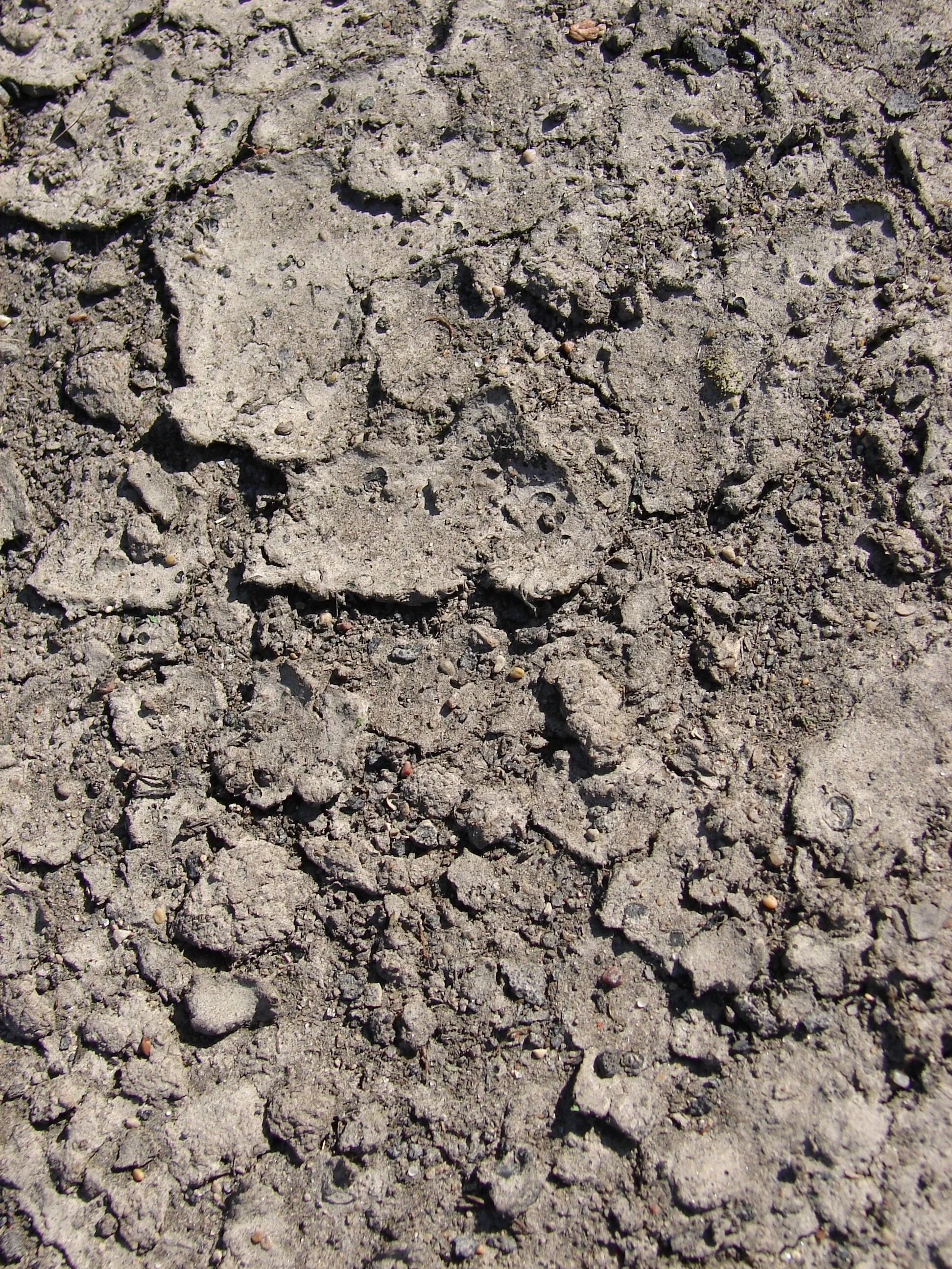 Dirt coloured. Текстура грязи. земля для фотошопа грунт. dirt земля. земля фон для фотошопа.