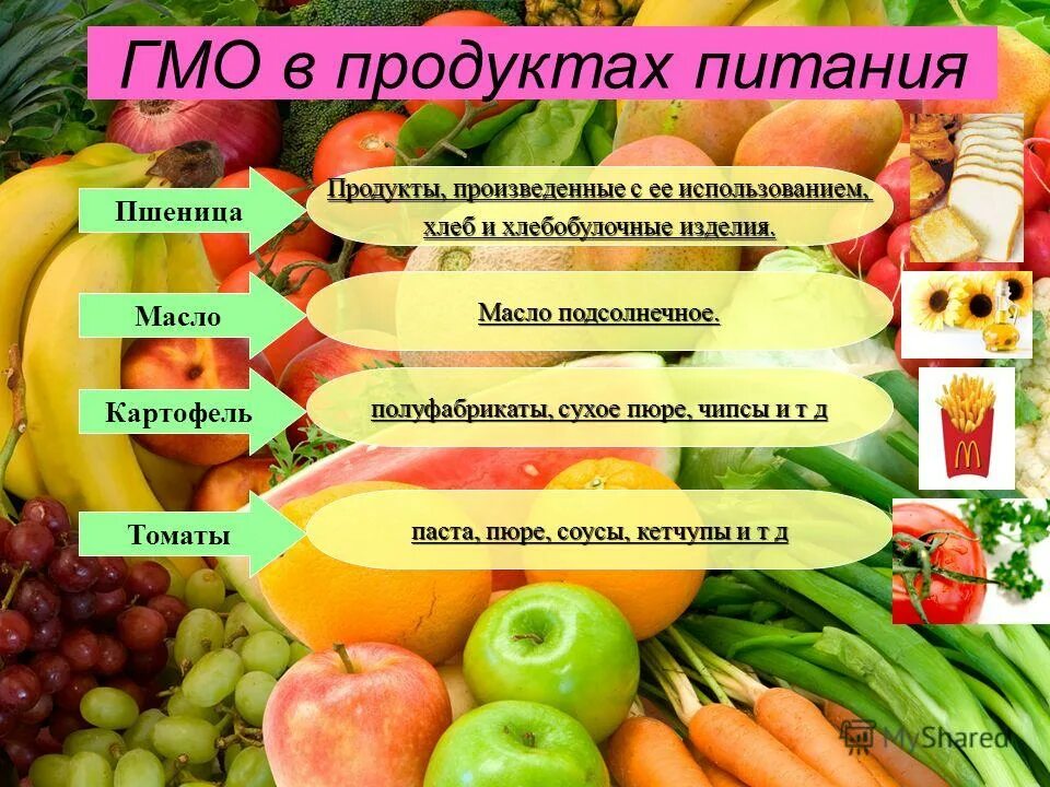 Как расшифровывается гмо. Гмо продукты. генетически модифицированные продукты. трансгенные продукты питания. гмо в продуктах питания.